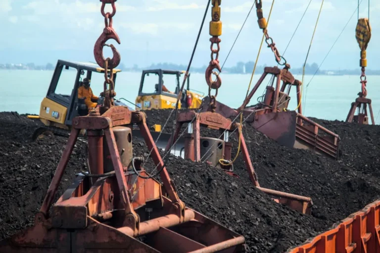 Bulk Shipping Trends to Watch This Year