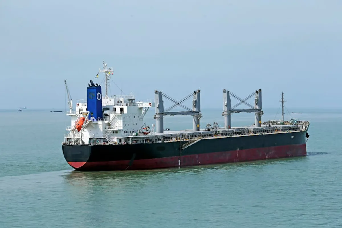 Bulk Shipping vs Port Automation: Key Differences Explained