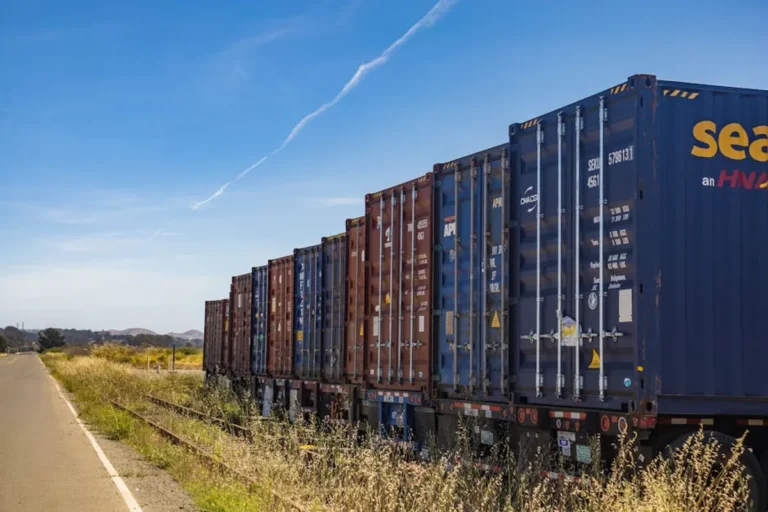 Cargo Tracking vs Bulk Shipping: Key Differences Explained