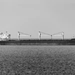 The Bulker Market's Quiet Recovery: Why Capesize and Panamax Rates Have Been Behaving Better Than the Demand Fundamentals Suggest
