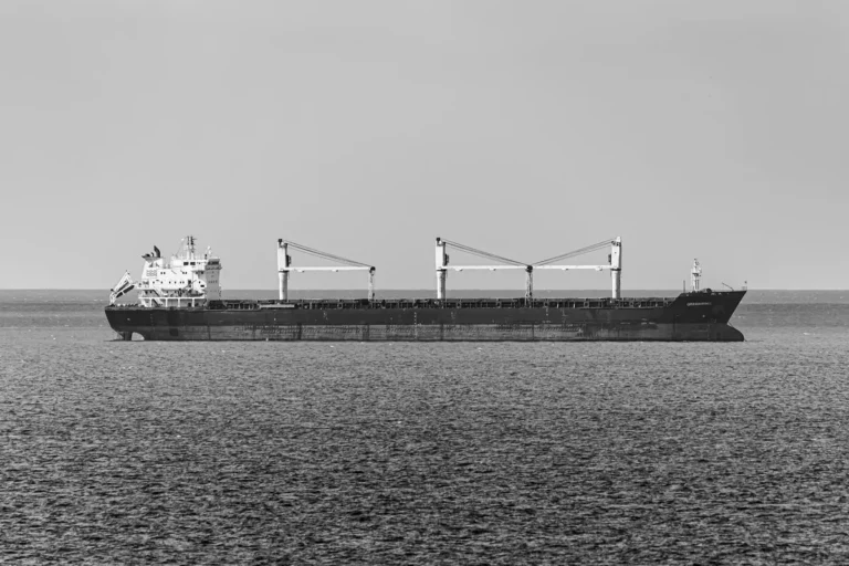 The Bulker Market's Quiet Recovery: Why Capesize and Panamax Rates Have Been Behaving Better Than the Demand Fundamentals Suggest
