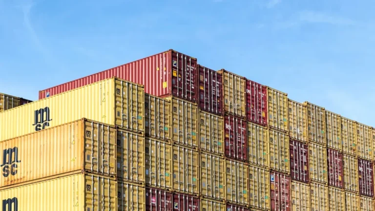 Export Compliance vs Shipping Delays: Key Differences Explained