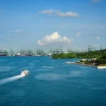 The Port of Singapore's Decarbonization Program: What the Bunkering Hub Strategy Actually Involves