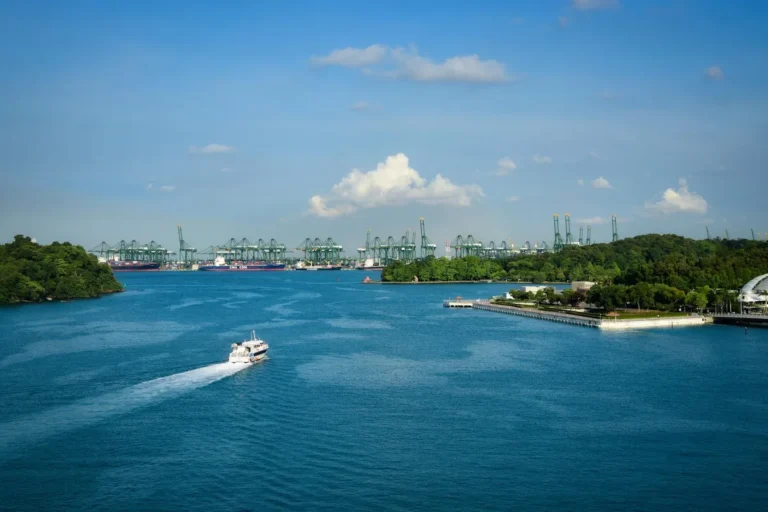 The Port of Singapore's Decarbonization Program: What the Bunkering Hub Strategy Actually Involves