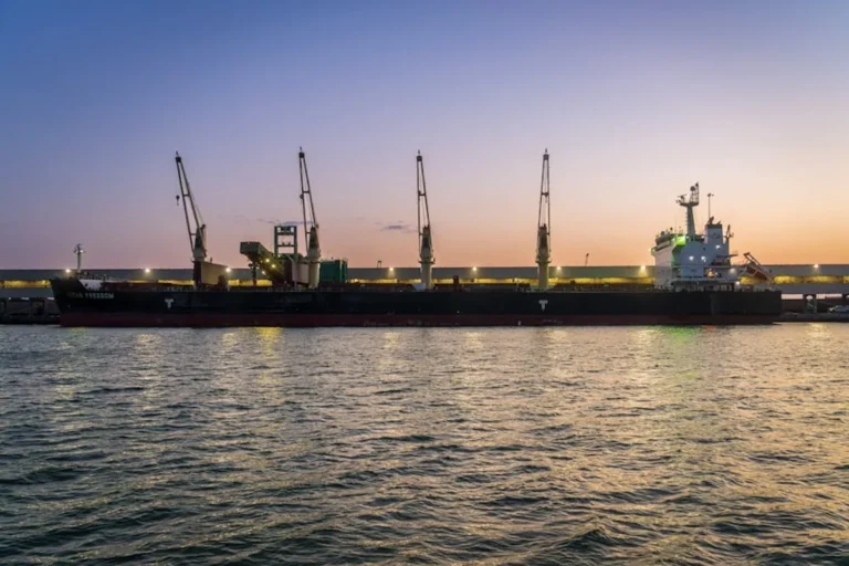 What Is bulk shipping? A Practical Guide for freight teams