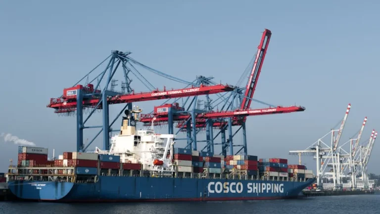 What Is container shipping? A Practical Guide for beginners